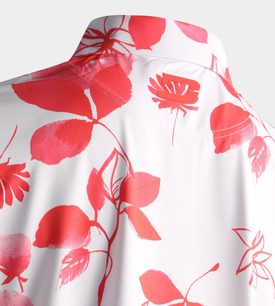 DINGLE POLO - CORAL
