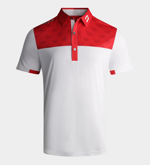 NATIONS POLO - WALES