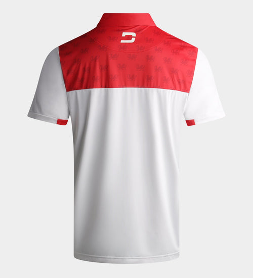 NATIONS POLO - WALES