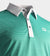 STRIPE PIQUE POLO - GREEN