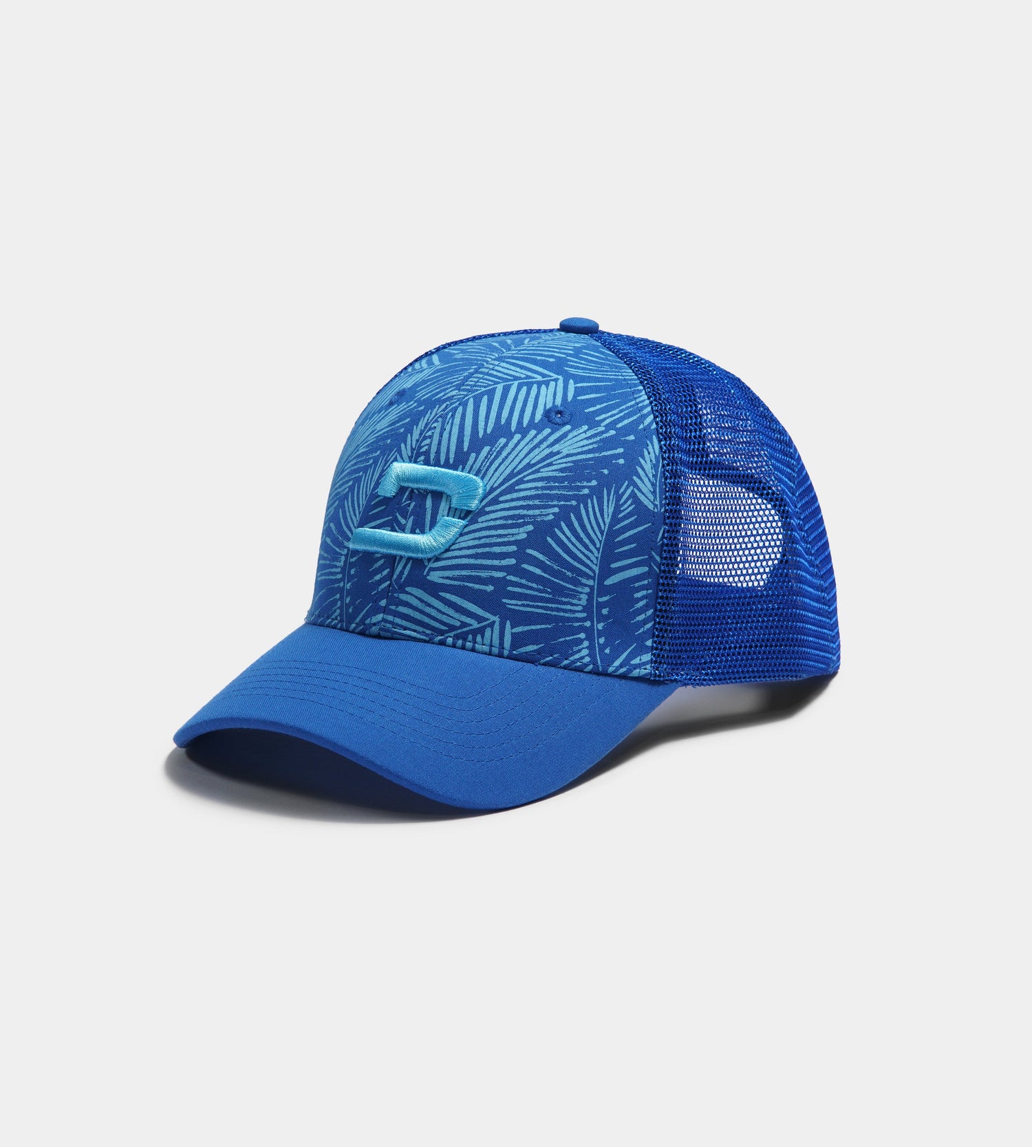 EXOTIC CAP - BLUE - DRUIDS